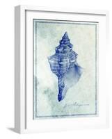 Conch Shell B-GI ArtLab-Framed Giclee Print