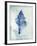 Conch Shell B-GI ArtLab-Framed Giclee Print