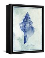 Conch Shell B-GI ArtLab-Framed Stretched Canvas