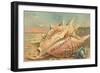 Conch Shell Greetings from San Clemente-null-Framed Art Print