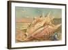 Conch Shell Greetings from San Clemente-null-Framed Art Print