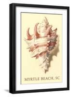 Conch Shell, Myrtle Beach-null-Framed Art Print