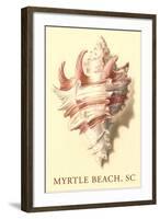 Conch Shell, Myrtle Beach-null-Framed Art Print