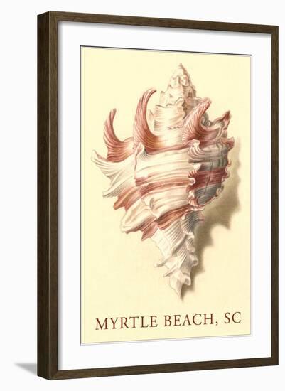 Conch Shell, Myrtle Beach-null-Framed Art Print