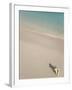 Conch Shell on Grace Bay Beach, Providenciales, Turks and Caicos Islands, West Indies, Caribbean-Kim Walker-Framed Photographic Print