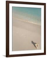 Conch Shell on Grace Bay Beach, Providenciales, Turks and Caicos Islands, West Indies, Caribbean-Kim Walker-Framed Photographic Print