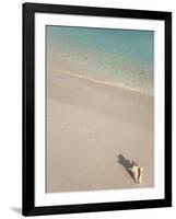 Conch Shell on Grace Bay Beach, Providenciales, Turks and Caicos Islands, West Indies, Caribbean-Kim Walker-Framed Photographic Print