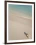 Conch Shell on Grace Bay Beach, Providenciales, Turks and Caicos Islands, West Indies, Caribbean-Kim Walker-Framed Photographic Print