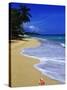 Conch Shell on Playa Grande Beach-Danny Lehman-Stretched Canvas