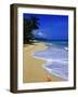 Conch Shell on Playa Grande Beach-Danny Lehman-Framed Photographic Print