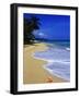 Conch Shell on Playa Grande Beach-Danny Lehman-Framed Photographic Print