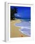 Conch Shell on Playa Grande Beach-Danny Lehman-Framed Photographic Print