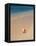 Conch Shell On The Seven Mile Beach-George Oze-Framed Stretched Canvas