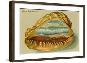 Conch Shell, Surf at Coronado, California-null-Framed Art Print