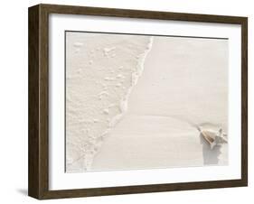 Conch Shell Washed Up on Grace Bay Beach, Providenciales, Turks and Caicos Islands, West Indies-Kim Walker-Framed Photographic Print