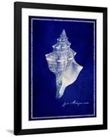 Conch Shell-GI ArtLab-Framed Giclee Print