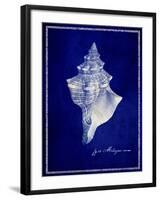 Conch Shell-GI ArtLab-Framed Giclee Print