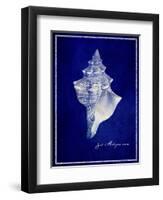 Conch Shell-GI ArtLab-Framed Giclee Print