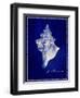 Conch Shell-GI ArtLab-Framed Giclee Print