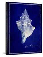 Conch Shell-GI ArtLab-Stretched Canvas