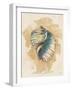 Conch Shell-Lanie Loreth-Framed Art Print