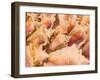 Conch Shells, Blue Hill Beach, Turks and Caicos, Caribbean-Walter Bibikow-Framed Photographic Print