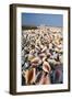 Conch Shells-David Nunuk-Framed Photographic Print