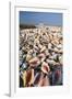 Conch Shells-David Nunuk-Framed Photographic Print