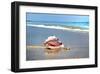 Conch-Jan Michael Ringlever-Framed Art Print