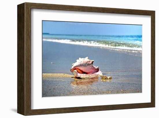 Conch-Jan Michael Ringlever-Framed Art Print