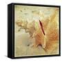 Conch-Lisa Hill Saghini-Framed Stretched Canvas