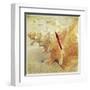 Conch-Lisa Hill Saghini-Framed Art Print