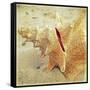 Conch-Lisa Hill Saghini-Framed Stretched Canvas