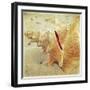 Conch-Lisa Hill Saghini-Framed Art Print