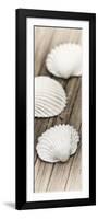 Conches on Wood-Uwe Merkel-Framed Photographic Print