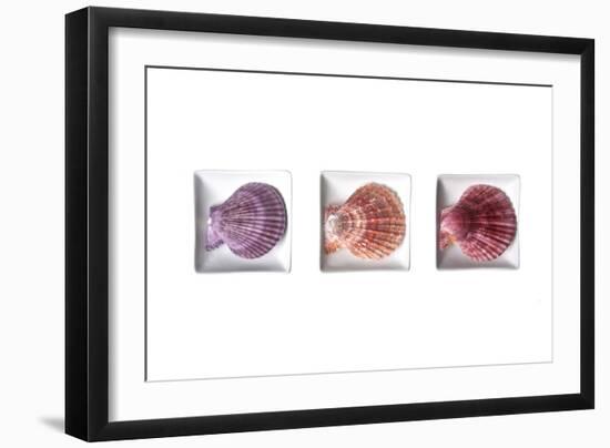 Conches-Uwe Merkel-Framed Photographic Print