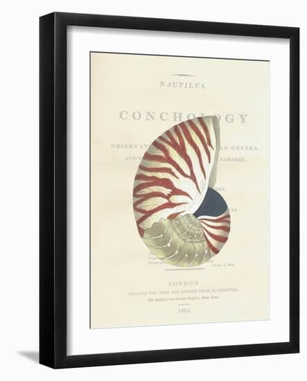 Conchology Nautilus-Porter Design-Framed Premium Giclee Print