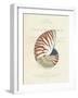 Conchology Nautilus-Porter Design-Framed Premium Giclee Print