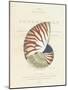 Conchology Nautilus-Porter Design-Mounted Premium Giclee Print