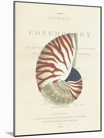 Conchology Nautilus-Porter Design-Mounted Giclee Print