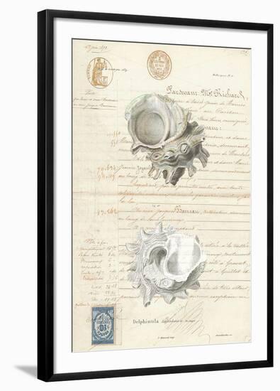 Conchology Sketch II-Stephanie Monahan-Framed Giclee Print