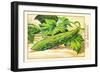 Concombre Vert Long Lisee De Bourbonne-null-Framed Art Print