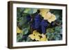 Concord Grapes-null-Framed Photographic Print