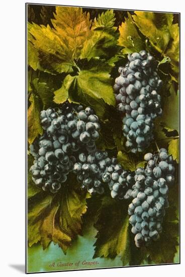 Concord Grapes-null-Mounted Art Print
