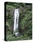 Concord Waterfall, Grenada, Windward Islands, West Indies, Caribbean, Central America-Robert Harding-Stretched Canvas