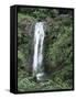 Concord Waterfall, Grenada, Windward Islands, West Indies, Caribbean, Central America-Robert Harding-Framed Stretched Canvas