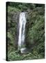 Concord Waterfall, Grenada, Windward Islands, West Indies, Caribbean, Central America-Robert Harding-Stretched Canvas