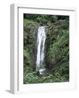 Concord Waterfall, Grenada, Windward Islands, West Indies, Caribbean, Central America-Robert Harding-Framed Photographic Print