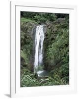 Concord Waterfall, Grenada, Windward Islands, West Indies, Caribbean, Central America-Robert Harding-Framed Photographic Print