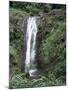 Concord Waterfall, Grenada, Windward Islands, West Indies, Caribbean, Central America-Robert Harding-Mounted Photographic Print